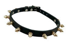 Load image into Gallery viewer, collar on display