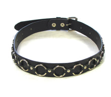 Load image into Gallery viewer, belt on display