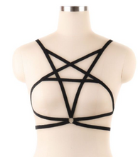 Load image into Gallery viewer, front of harness