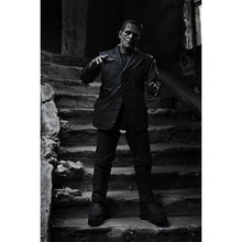 Load image into Gallery viewer, figure on display