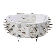 Load image into Gallery viewer, collar on display