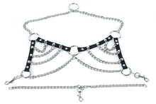 Load image into Gallery viewer, harness on display