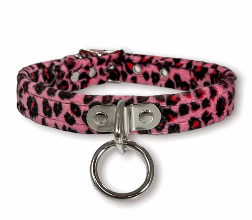collar on display