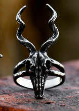 Load image into Gallery viewer, front of skull on display
