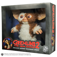 Load image into Gallery viewer, front of gizmo on display
