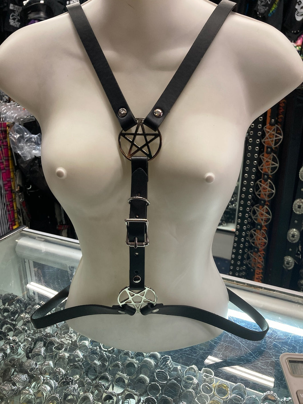 harness on display