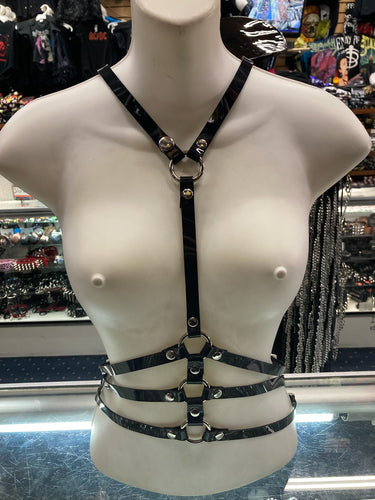harness on display