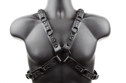 harness on display