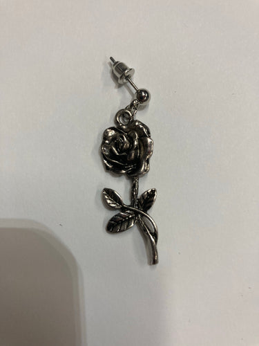 earring on display