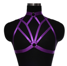 Load image into Gallery viewer, front of harness
