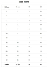 Load image into Gallery viewer,  demonia shoe size chart, from right to left, Women&#39;s US size, men&#39;s US size, UK sizes and EU sizes
